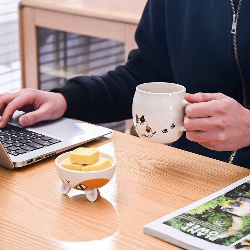 Niche Water Cup Japanese-style Ceramic Mug Women